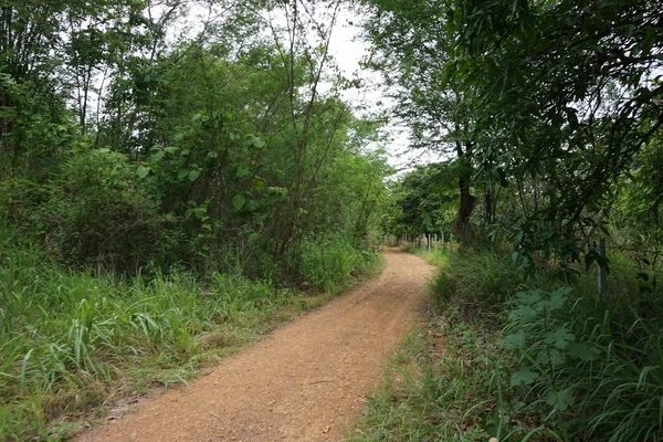 乡村道路摘要 — 图库照片