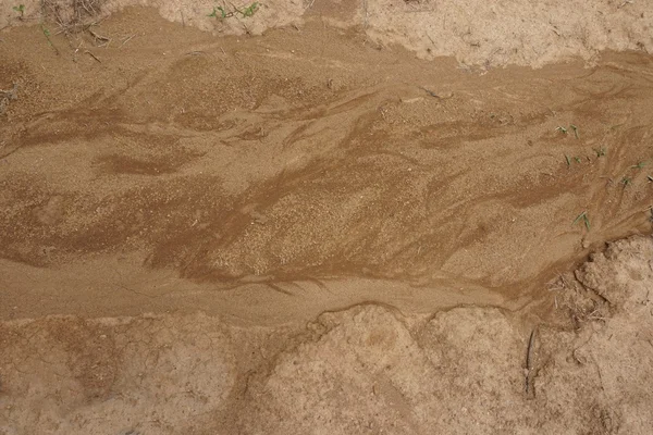 Почва после наводнения — стоковое фото