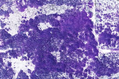 moss boya mor bulanıklık