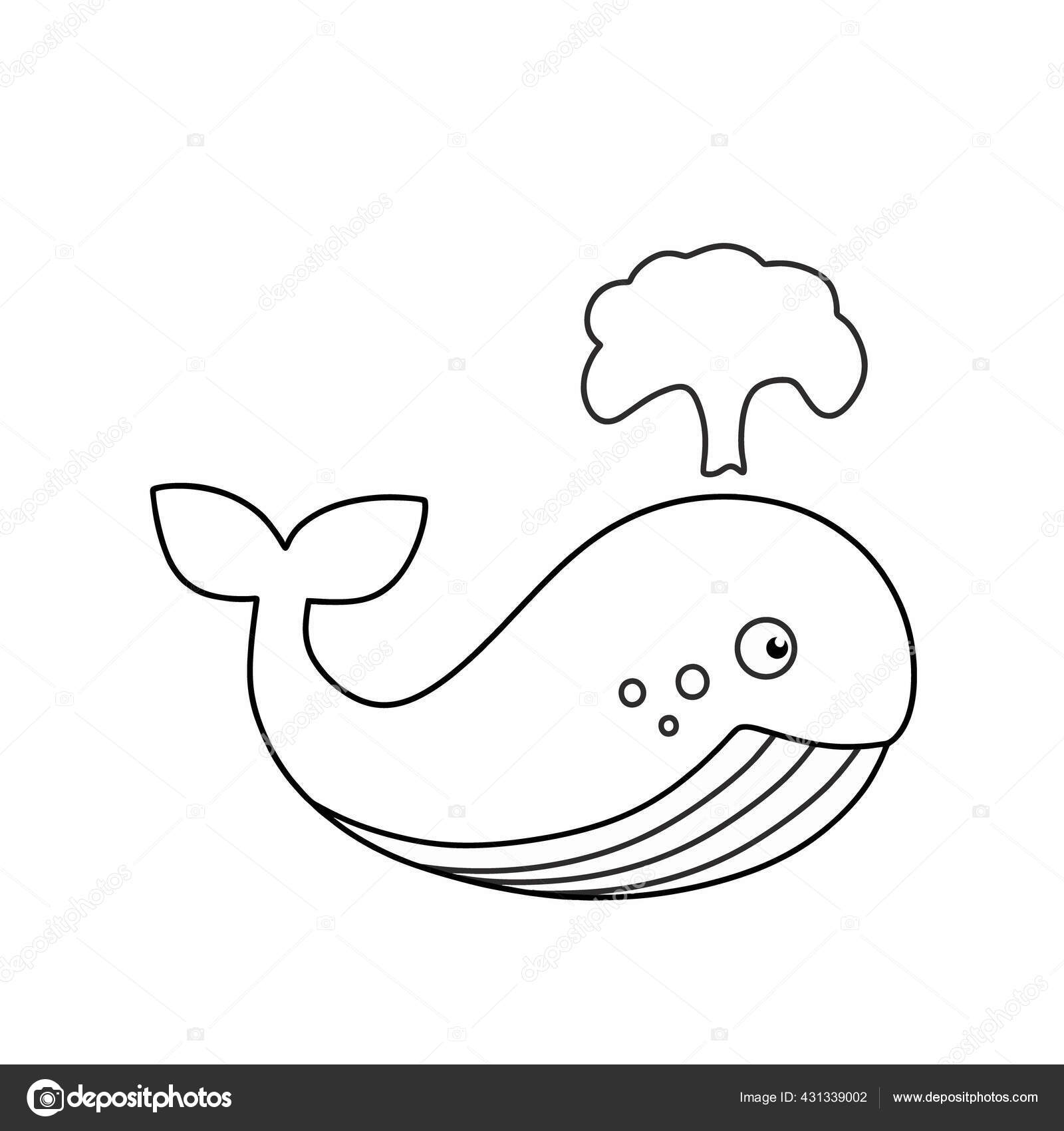 Download Gambar Sketsa Ikan Paus PNG Phone Tips