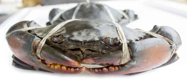 Raw black crab — Stock Photo, Image