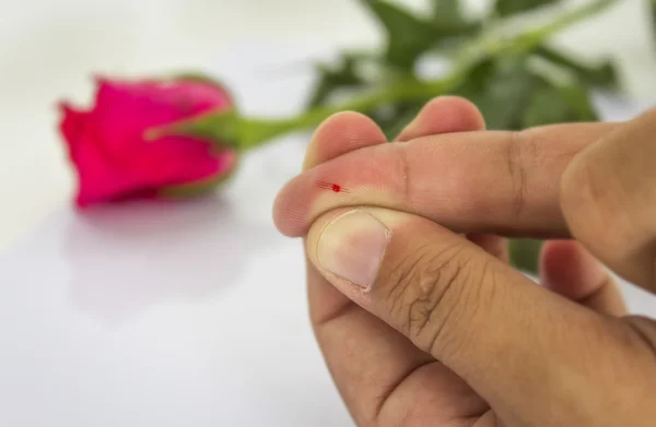 Blutfleck am Finger von dornloser Rose auf weißem Hintergrund. — Stockfoto