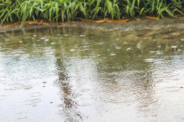 Floresan ampul, vintage sesi