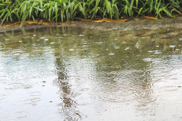 Floresan ampul, vintage sesi