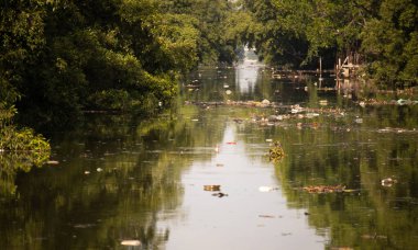 Nehirde çöp ve kir var. Ekolojik kavram.