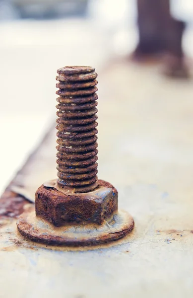 Old rust screw — Stock Photo, Image