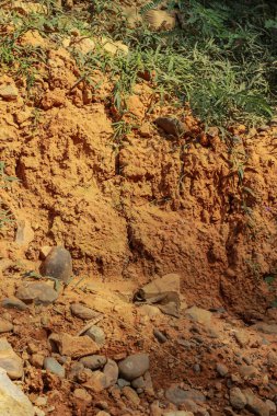Kuru kahverengi toprak