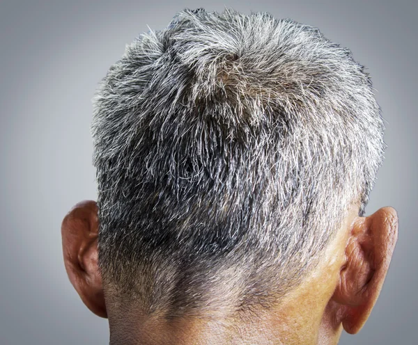 Gray hair — Stock Photo, Image