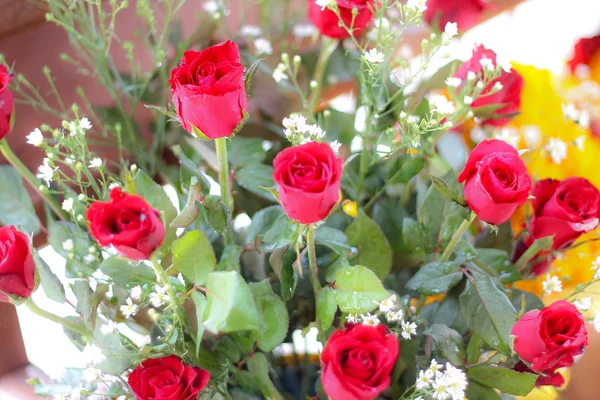 Buquê de rosas. — Fotografia de Stock