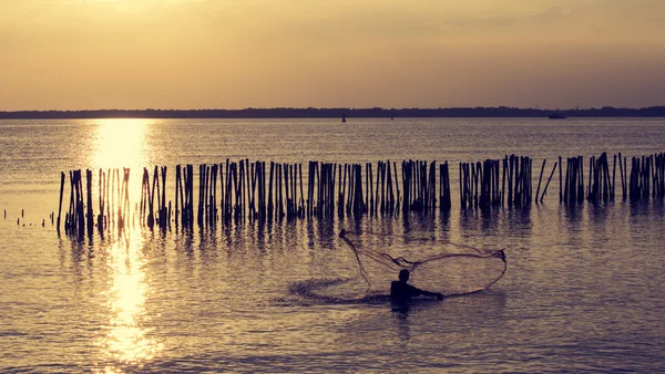 Cast a net — Stockfoto