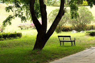 Yeşil Şehir Parkı