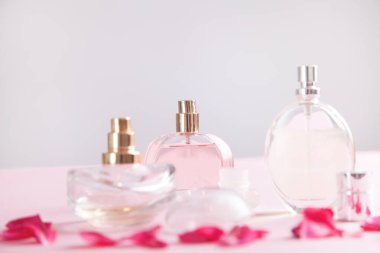 Güzel kadınların parfümleri, izole edilmiş pembenin arka planında. Güzel gül yapraklarına sarılmış.