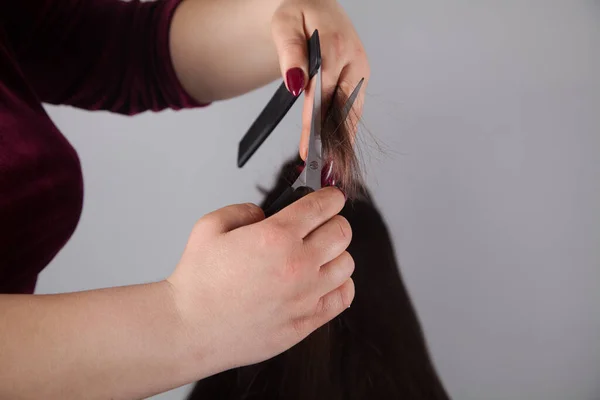 Professional Hairdresser Female Cutting Caucasian Woman Hair — Stock Photo, Image