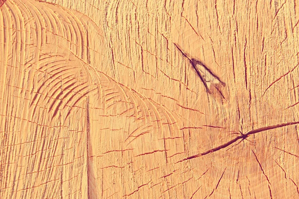 La textura de la madera clara — Foto de Stock