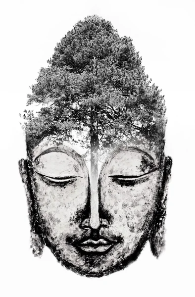 Buddha se stromem na hlavu — Stock fotografie