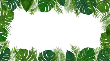Yeşil palmiye yaprakları ile yaz tropik arka plan. Davetiye, afiş ve poster için orman bitkileriyle birlikte egzotik botanik tasarımı. Vektör illüstrasyonu