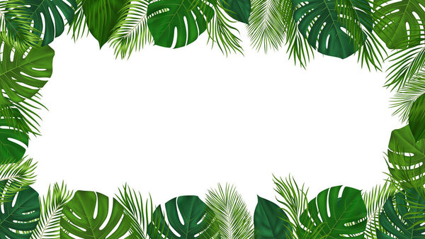 Летний тропический фон с зелеными пальмовыми листьями. Экзотический ботанический дизайн с джунглями растений для приглашения, баннер, плакат. Векторная иллюстрация