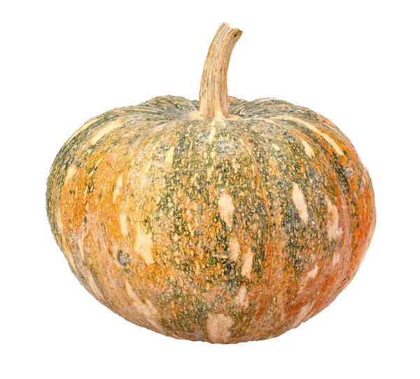 Pumpa - Cucurbita moschata Decne. -isolerad — Stockfoto