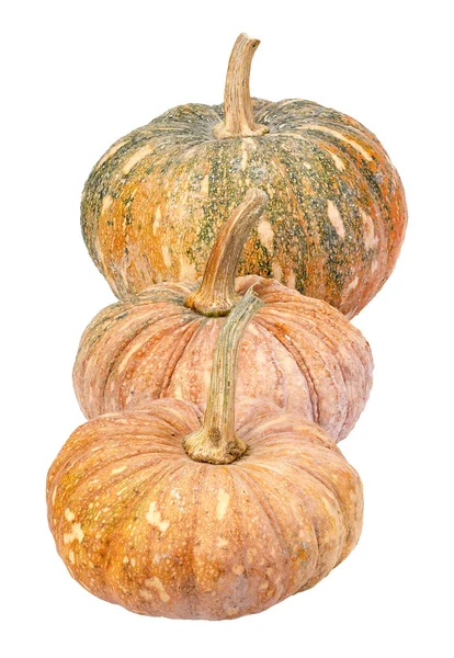 Pumpkin - Cucurbita moschata Decne. - isolated — Stock Photo, Image