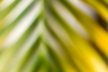 ufuk doğal arka plan bulanık 