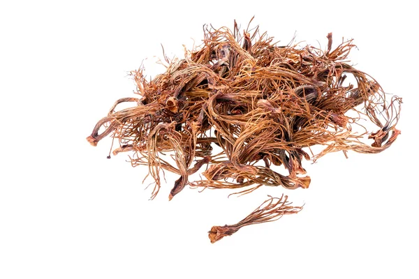 ボンバックス セイバ リン - 乾燥した雄しべ — ストック写真