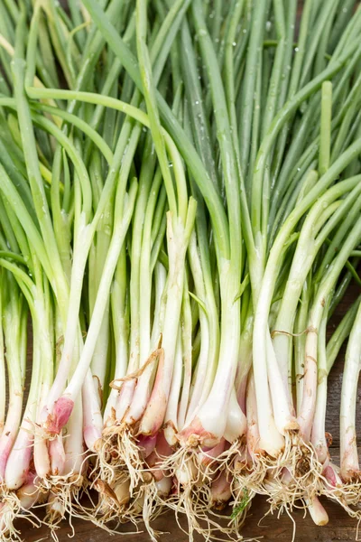 Green onion on wood background — Stock Photo, Image