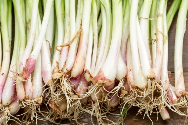 Green onion on wood background — Stock Photo, Image