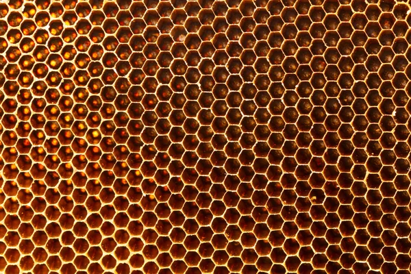 Vackra honeycomb utan honung texture — Stockfoto