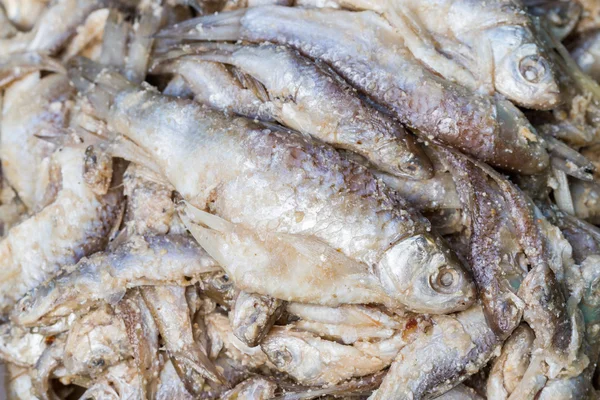 Peixes fermentados — Fotografia de Stock