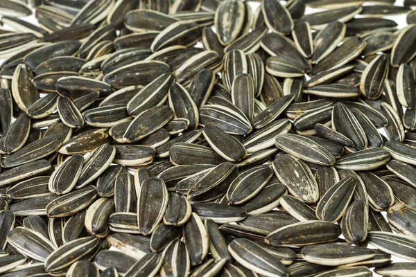 Sunflower seeds — Stock Photo, Image