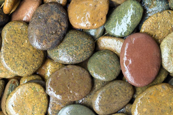 Круглые мокрые цветные камни фон — стоковое фото