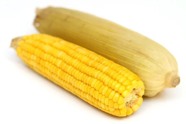 Dos mazorca de maíz hervida con hojas amarillas — Foto de Stock