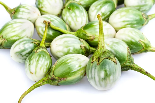 Small eggplant - CHIONATHUS PARKINONII — Stock Photo, Image