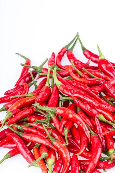 Pimiento rojo de Cayena sobre blanco —  Fotos de Stock