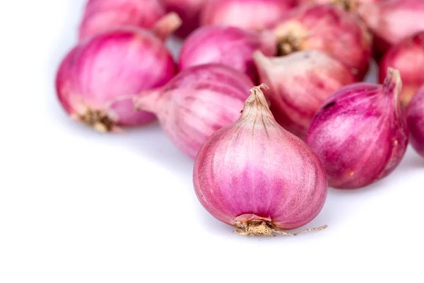 Schalotten Gemüse auf weiß — Stockfoto