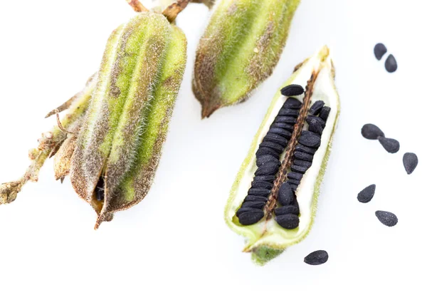 Plant black Sesame closed up — Stock Photo, Image