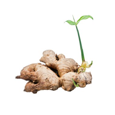 zencefil çayı üzerinde beyaz izole fide ile