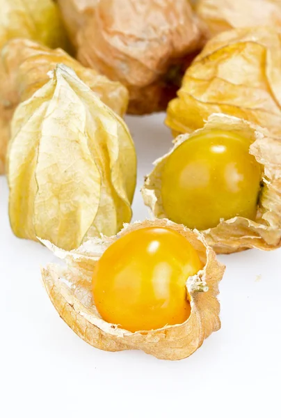 Cape gooseberry on white background — Stock Photo, Image