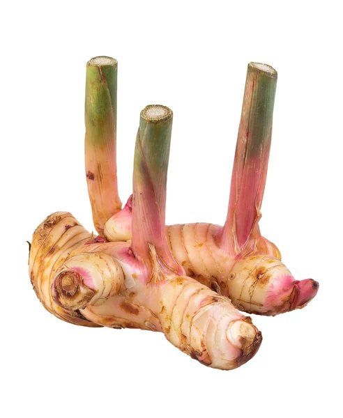 havlıcan üzerinde beyaz izole