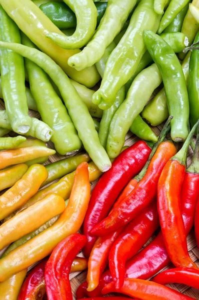 Grüner roter und gelber thailändischer Ziegenpfeffer — Stockfoto