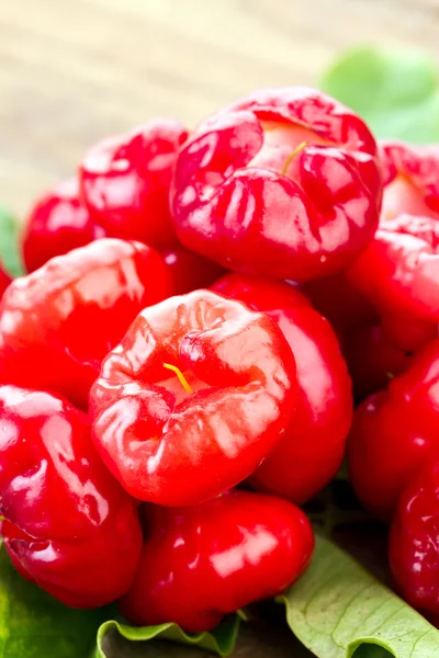 Fresco vívido rojo rosa manzana 'Demonio plástico' —  Fotos de Stock