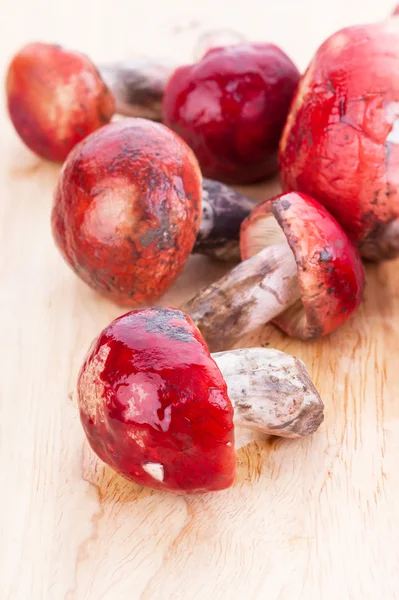Свежие грибы Rosy Russula на деревянной тарелке — стоковое фото