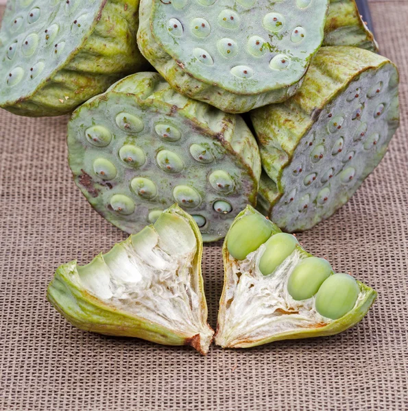 Fresh green lotus seed (lotus nut) — Stock Photo, Image