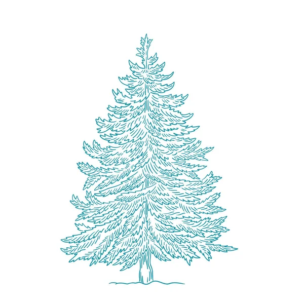 Árbol de Navidad. Abeto de coníferas. Año nuevo abeto postal fondo. Dibujo de línea vectorial de contorno dibujado a mano. — Vector de stock