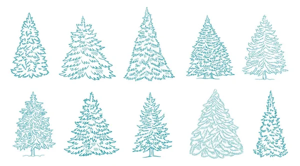 Bosquejos de árbol de Navidad. Abeto de coníferas. La postal del abeto de Año Nuevo. Dibujado a mano contorno vector azul contorno. — Vector de stock