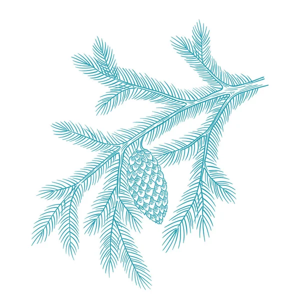 Branche arbre bleu de Noël avec neige. Épinette de conifères. Hiver glacial. Carte postale nouvel an sapin. Croquis vectoriel de contour dessiné à la main. Cône et aiguille de sapin. — Image vectorielle