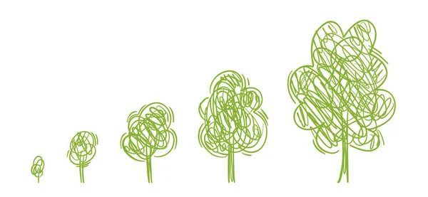 Etapas de crecimiento del árbol. Bosque creciendo. Bosquejo de dibujo ecológico. Fases de desarrollo vegetal. Progresión de animación. Conjunto de infografía vectorial. El ciclo de vida. Línea infantil. — Archivo Imágenes Vectoriales