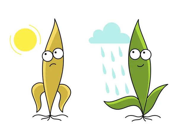 Βροχή και ξηρασία. Νεαρός χαρακτήρας μασκότ φυτό σπορόφυτα. Κακές και καλές καιρικές συνθήκες. Πότισμα φυτών. Πράσινο βλαστάρι. Γεωργικοί κανόνες καλλιέργειας. Διανυσματικό επίπεδο. — Διανυσματικό Αρχείο