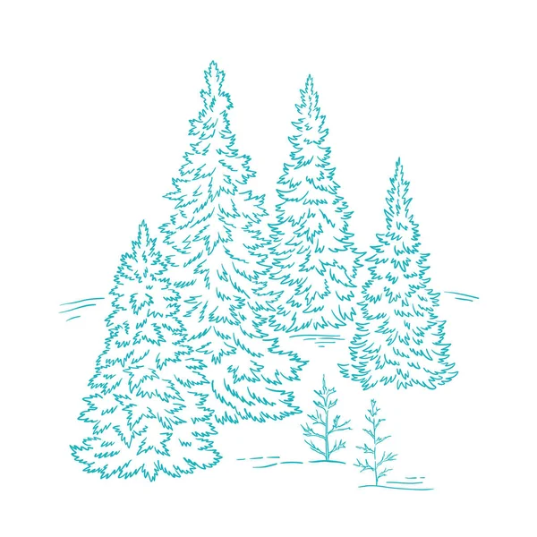 Fir tree forest sketch. Blue conifer spruce. New year fir-tree postcard background. Hand drawn vector. Contour line. Winter holiday. — Stock Vector