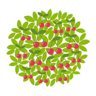 Kiraz meyvesi ağacı. Taç ve yaprakların yuvarlak arka planına karşı. Meyve bahçesi hasadı. Vektör.